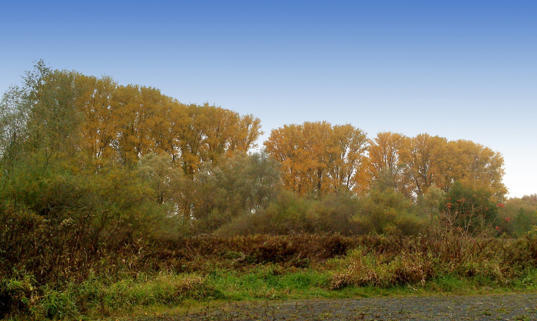 Herbst an der Rhume.( Northeim )