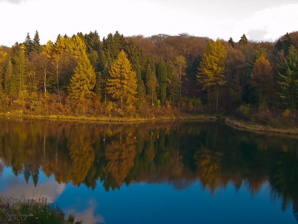 Herbst an der Ronsdorfer Talsperre