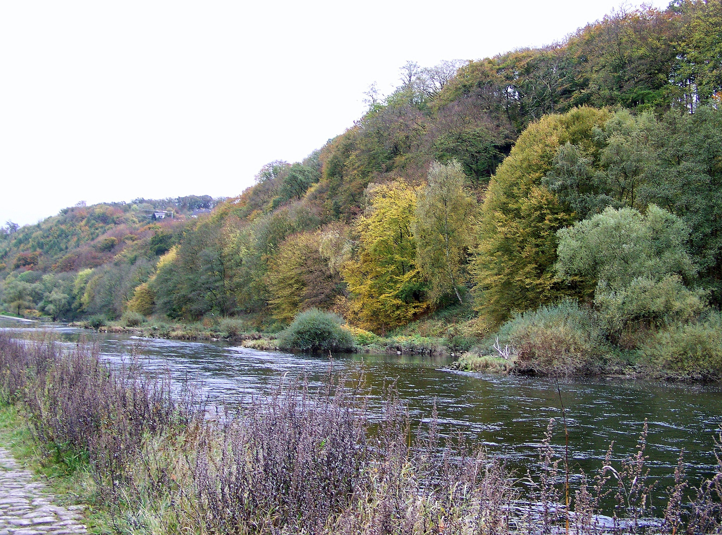 Herbst an der Ruhe