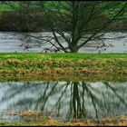 Herbst an der Ruhr - 2010