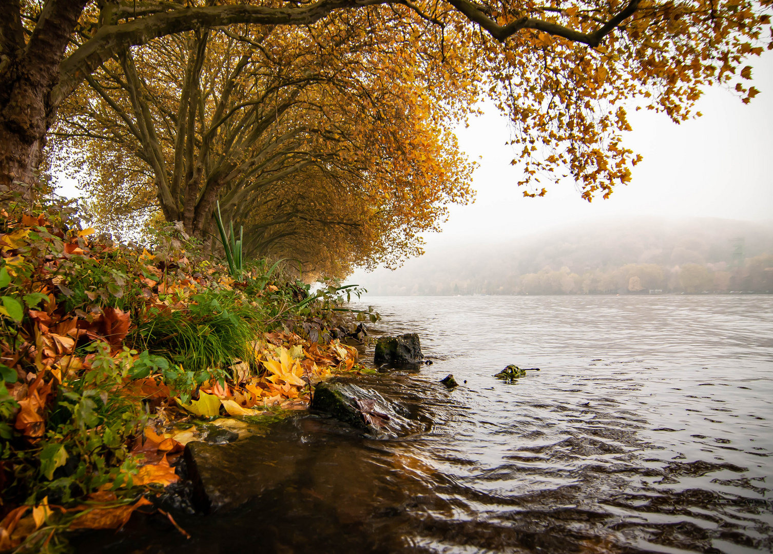 Herbst an der Ruhr