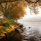 Herbst an der Ruhr