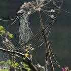 Herbst an der Ruhr