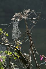 Herbst an der Ruhr