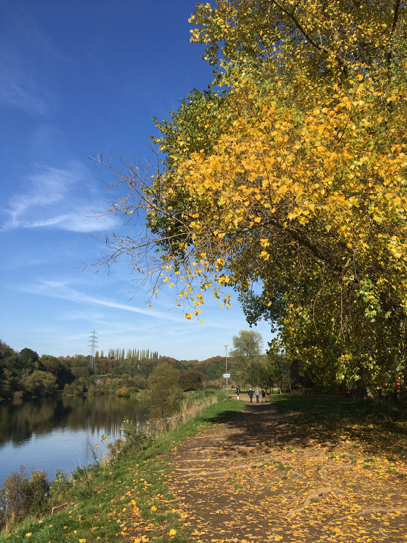 Herbst an der Ruhr