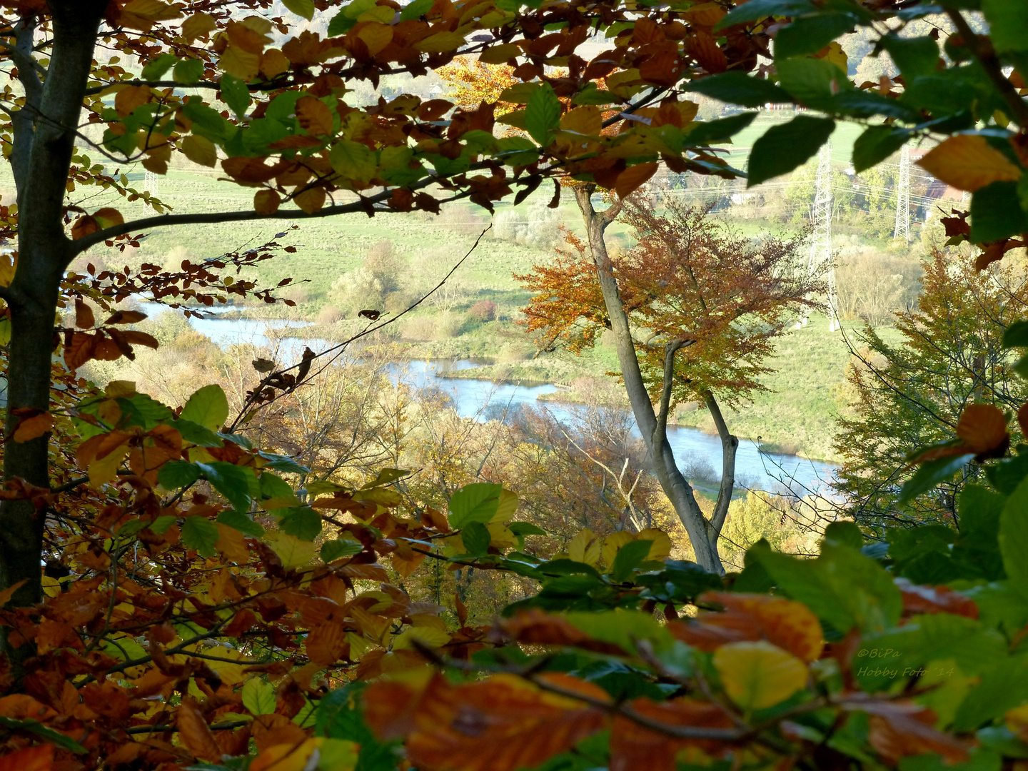 Herbst an der Ruhr