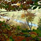 Herbst an der Ruhr