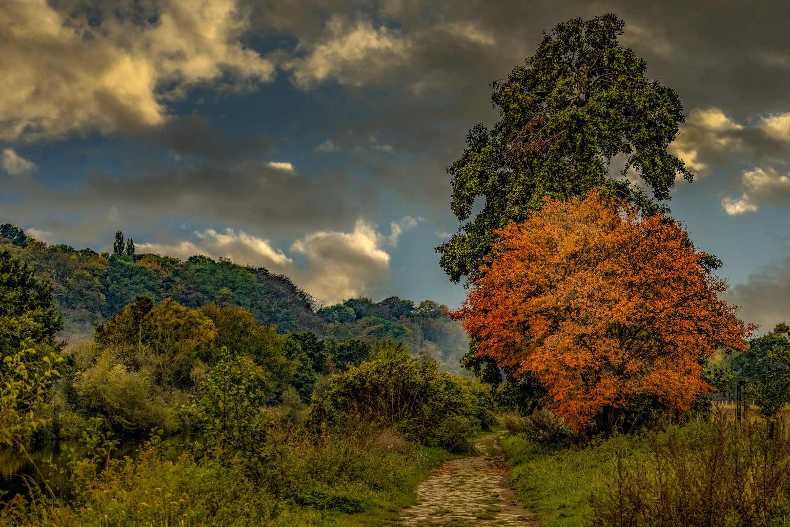 Herbst an der Ruhr