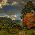 Herbst an der Ruhr