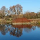 Herbst an der Ruhr