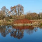 Herbst an der Ruhr