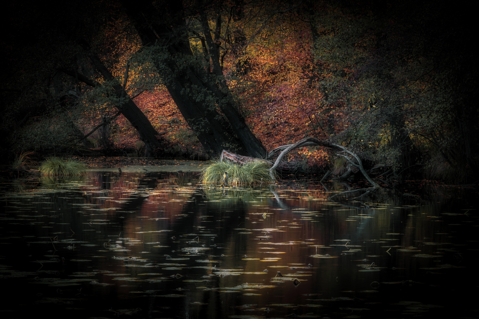 Herbst an der Rummelpforter Mühle