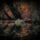 Herbst an der Rummelpforter Mühle