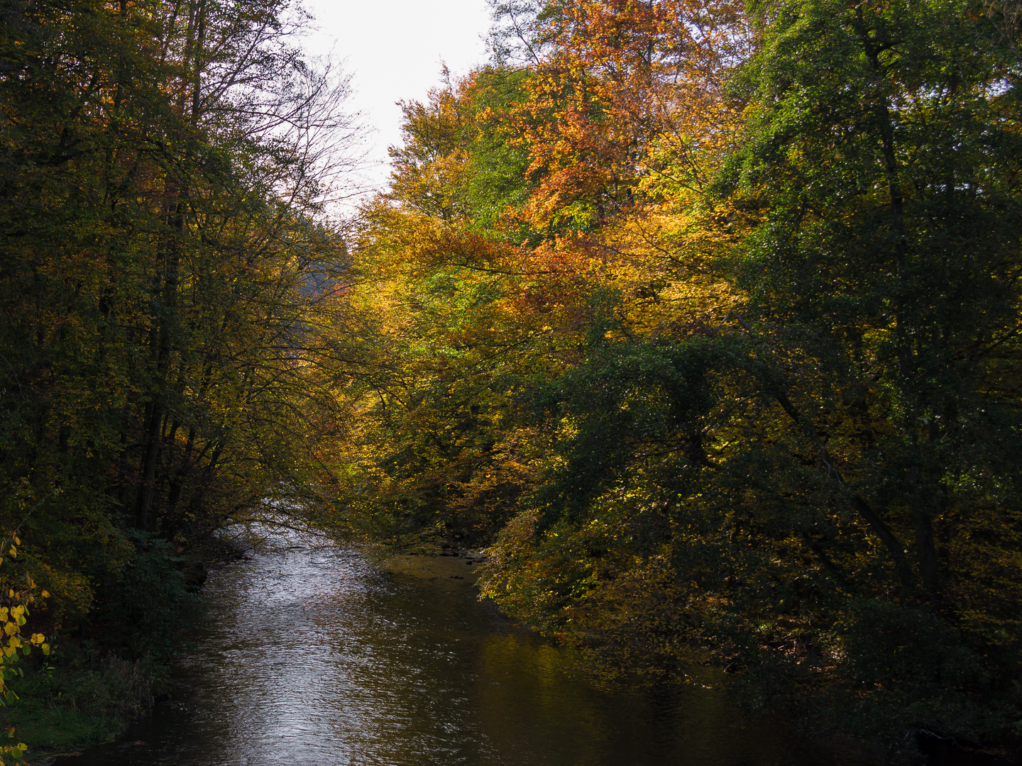 Herbst an der Rur