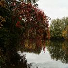 Herbst an der Saale