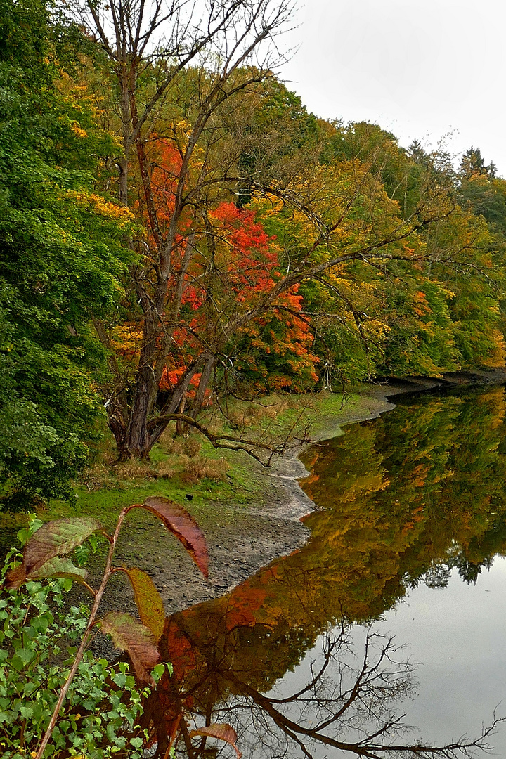 Herbst an der Saale