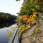 Herbst an der Saale