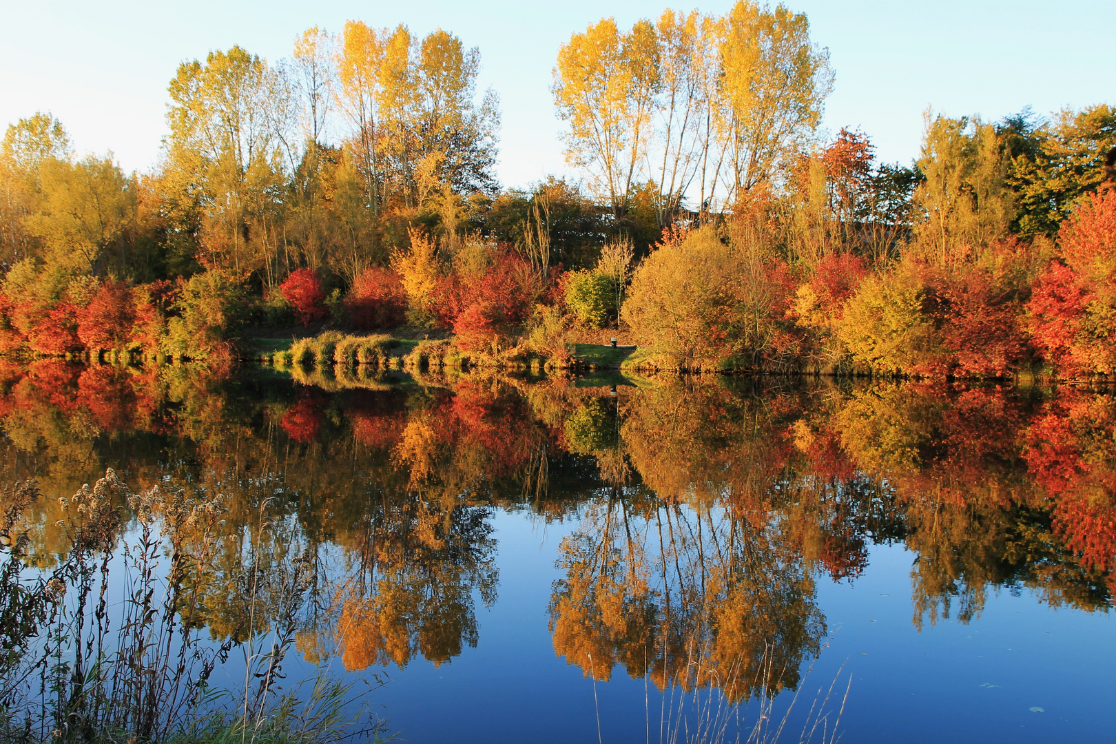 Herbst an der Saar