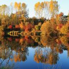 Herbst an der Saar