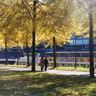 Herbst an der Saar in Saarbrücken