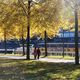 Herbst an der Saar in Saarbrcken