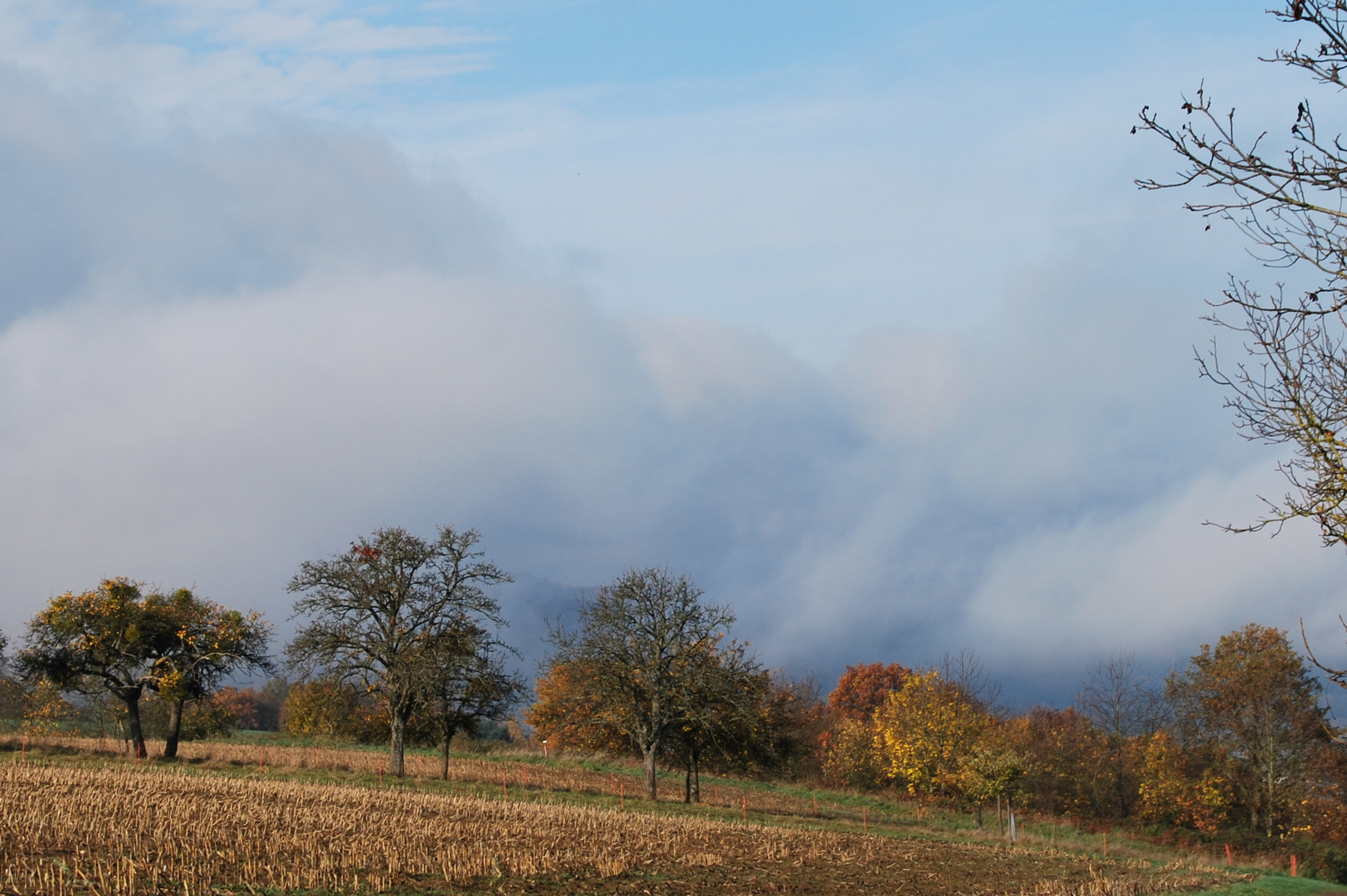 Herbst an der Saar(2)