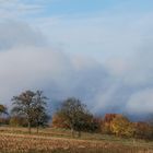 Herbst an der Saar(2)