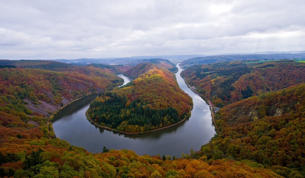 Herbst an der Saarschleife