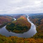 Herbst an der Saarschleife