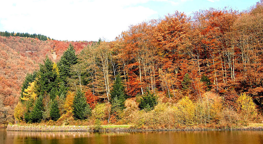 Herbst an der Saarschleife I ......