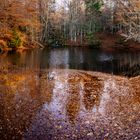 Herbst an der Sagwasserklause