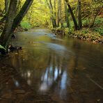 *Herbst an der Salm*