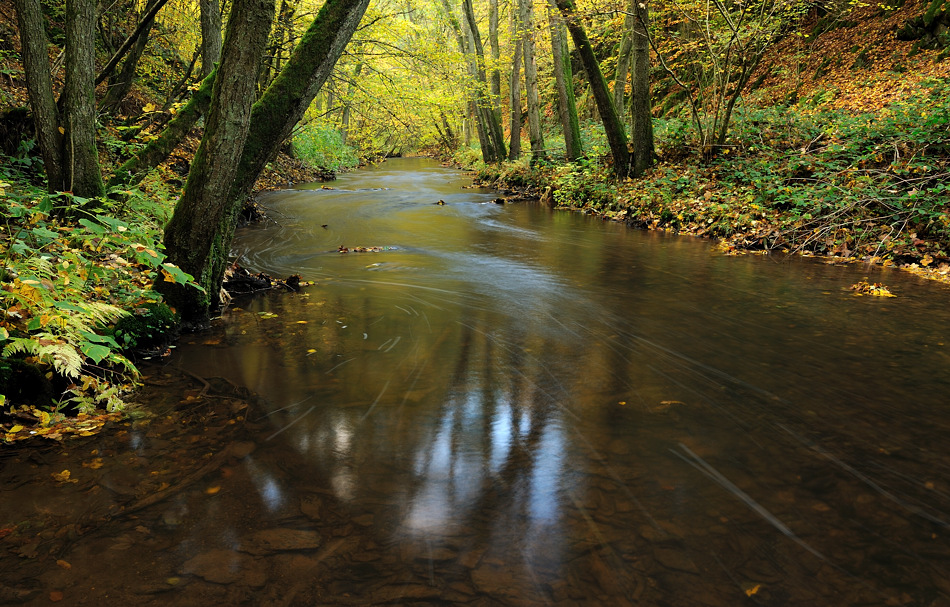 *Herbst an der Salm*