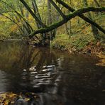 *Herbst an der Salm*