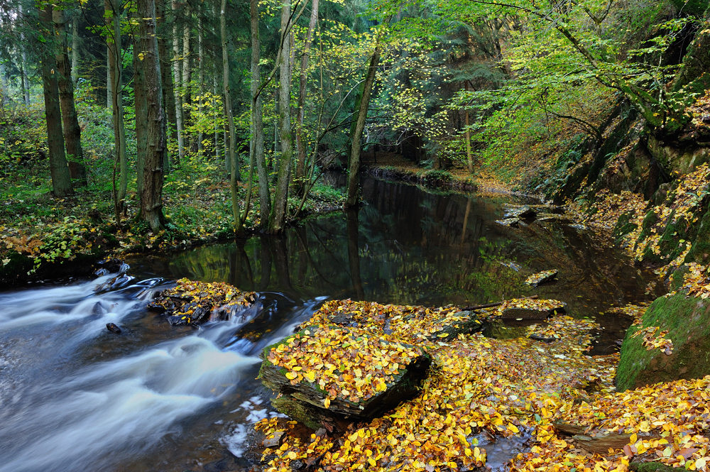 *Herbst an der Salm*