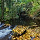 *Herbst an der Salm*