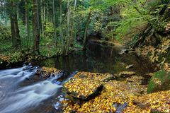 *Herbst an der Salm*