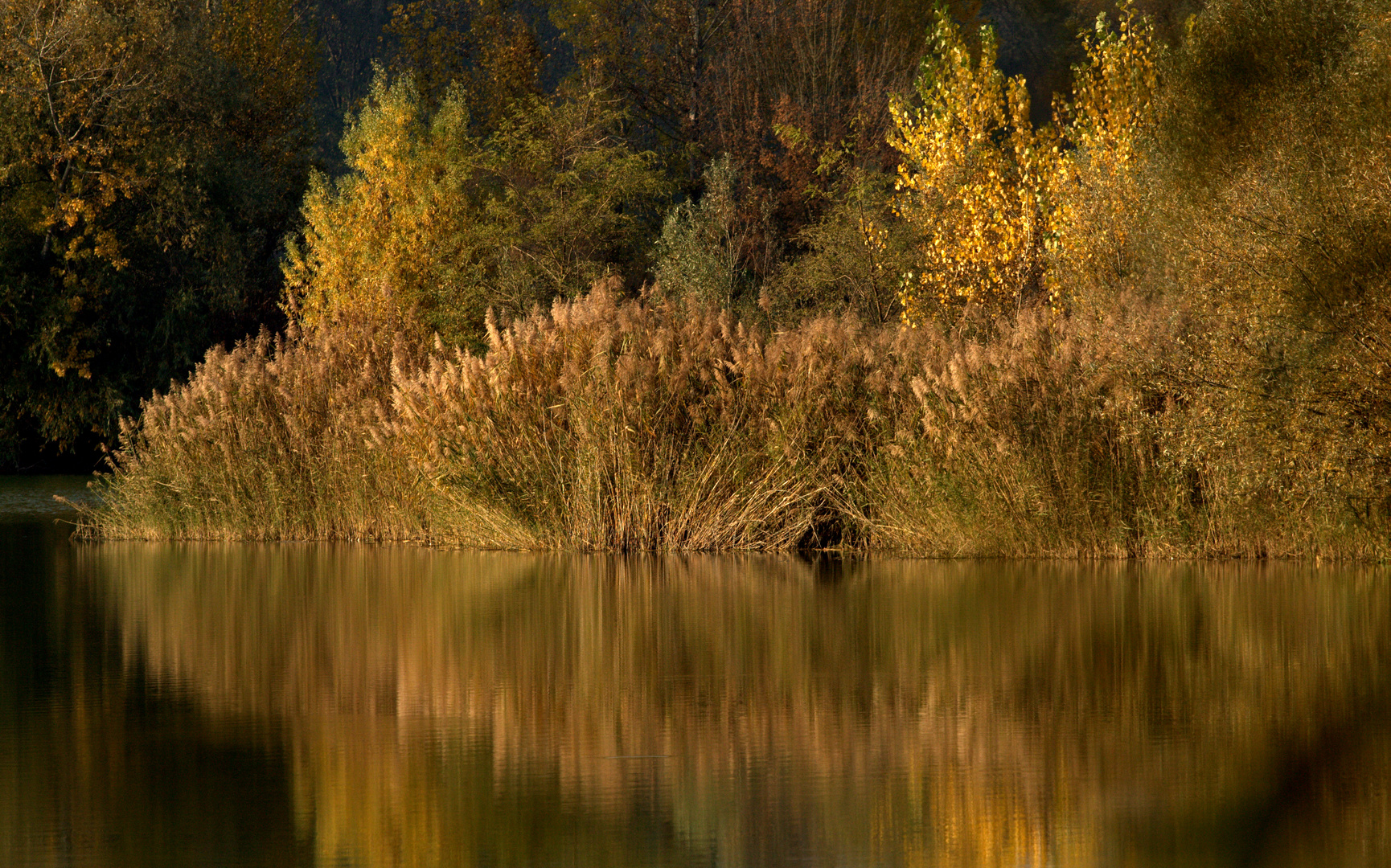 Herbst an der Schottergrube