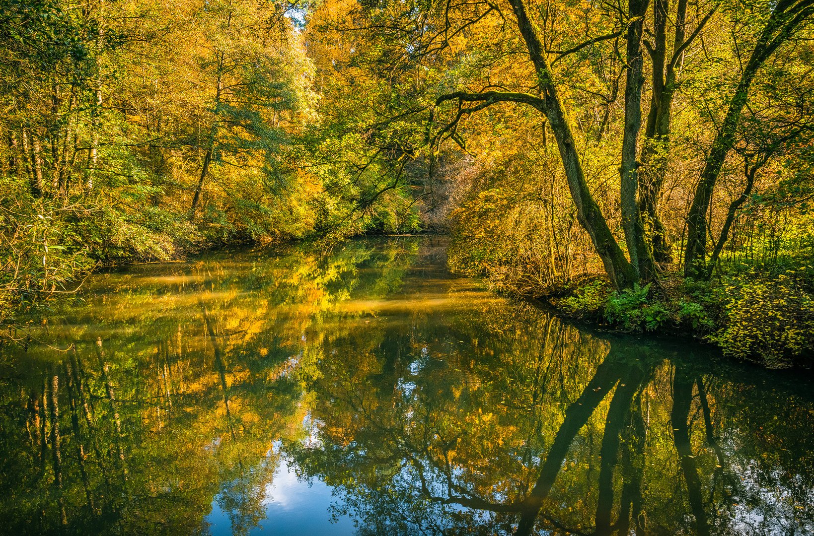 Herbst an der Schwarzach