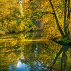 Herbst an der Schwarzach