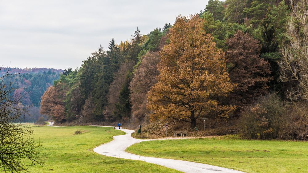 Herbst an der Schwarzen Laber bei Beratzhausen