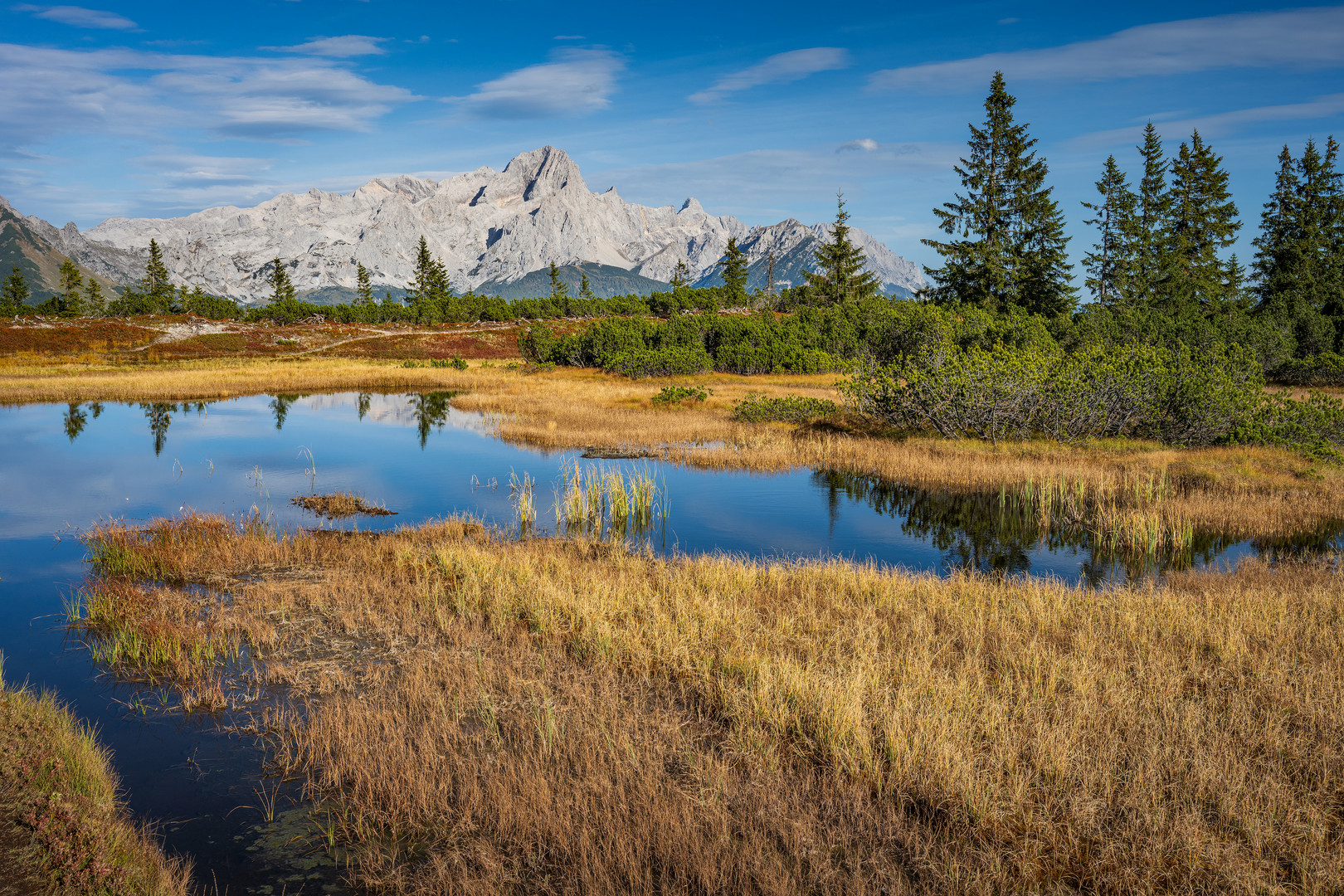 Herbst an der Schwarzen Lacke