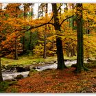 Herbst an der Schwarzen Pockau