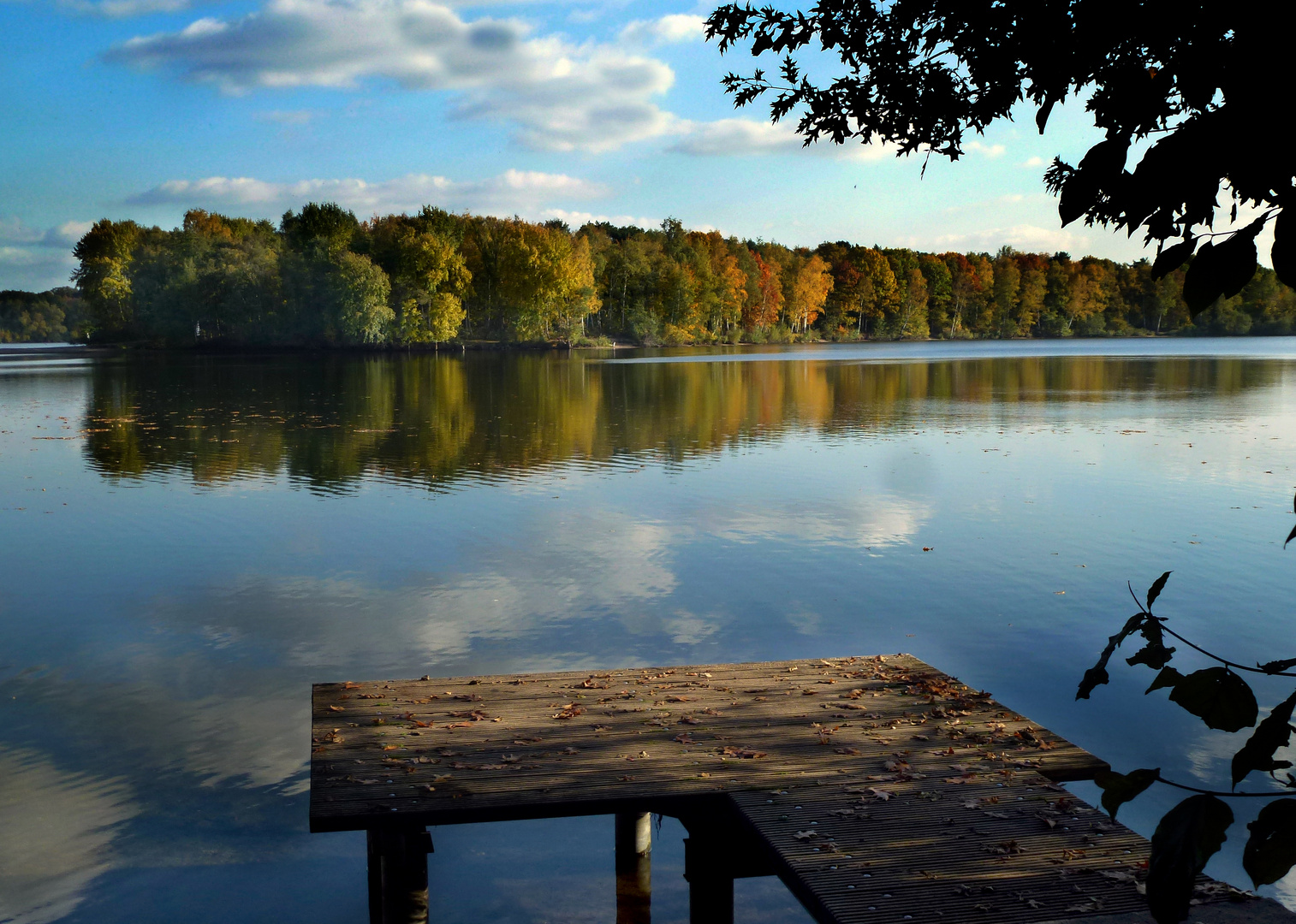 Herbst an der Sechs-Seen-Platte Duisburg