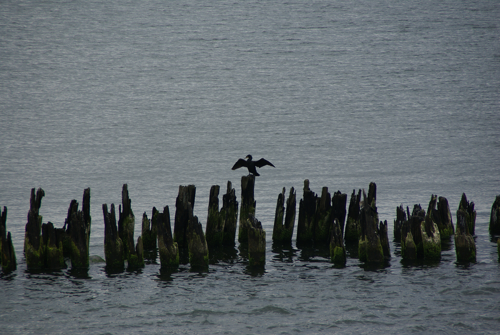 Herbst an der See