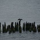 Herbst an der See