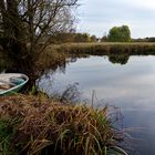 Herbst an der Seenplatte