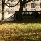 Herbst an der Semperoper