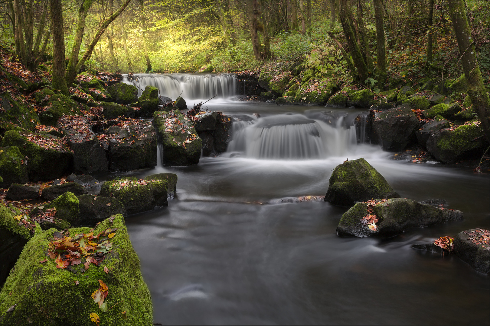 Herbst an der Sieg 