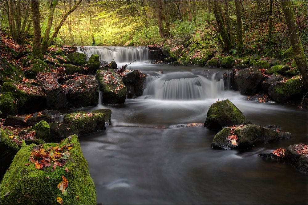 Herbst an der Sieg 